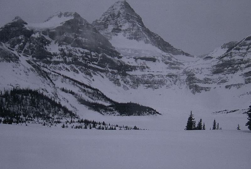 Regional District of East Kootenay › South-west: Mount Assiniboine