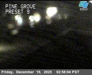 Shasta Lake: Pine Grove