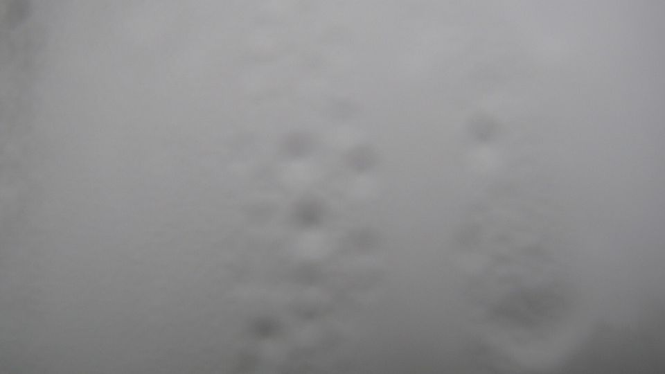 Usilov › West: Kdyně-Koráb