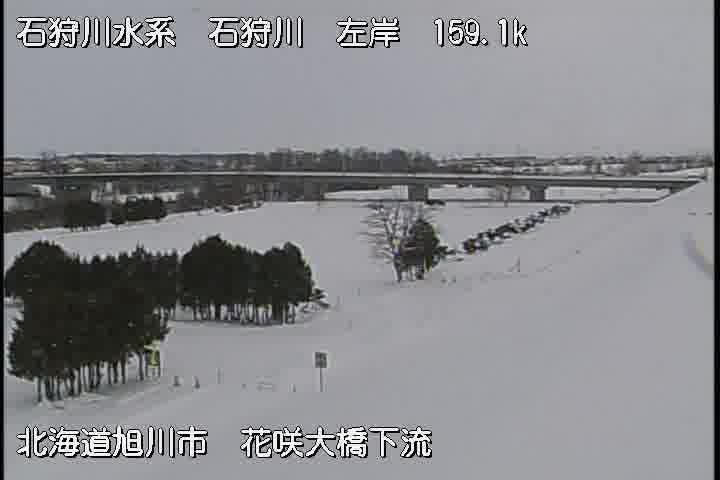 Asahikawa: Hanasakio Bridge