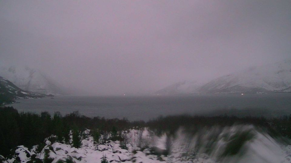 Troms og Finnmark › South: Gullesfjord