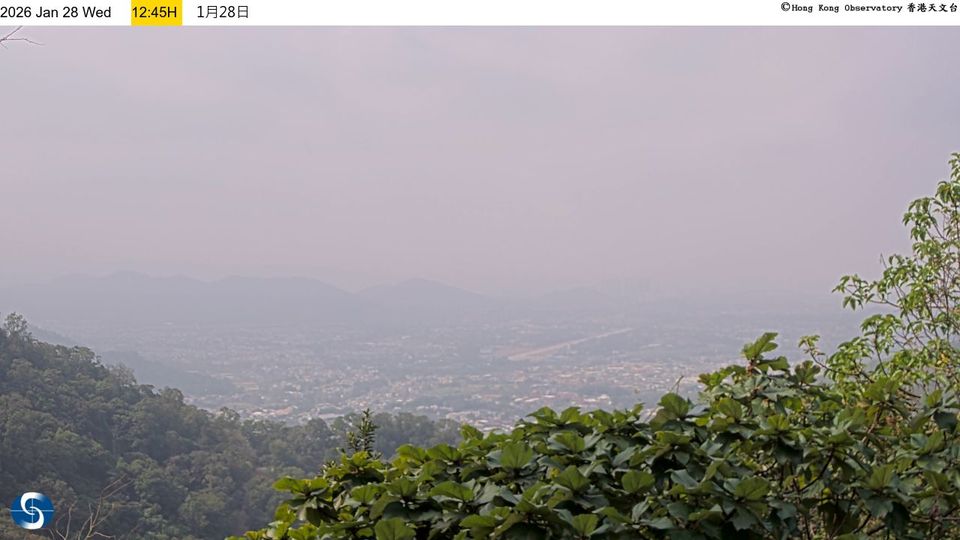 Hong Kong › West: Kam Tin