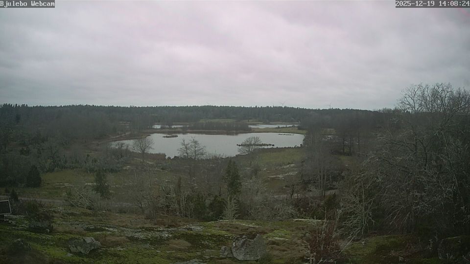 Vastervik › South: Nordic Resort AB - SLINGSVIKEN