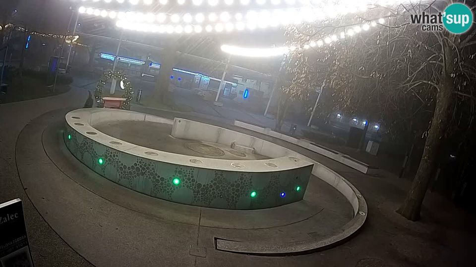 Zalec: LIVEcam Beer fountain - Green Gold - Žalec - Slovenia