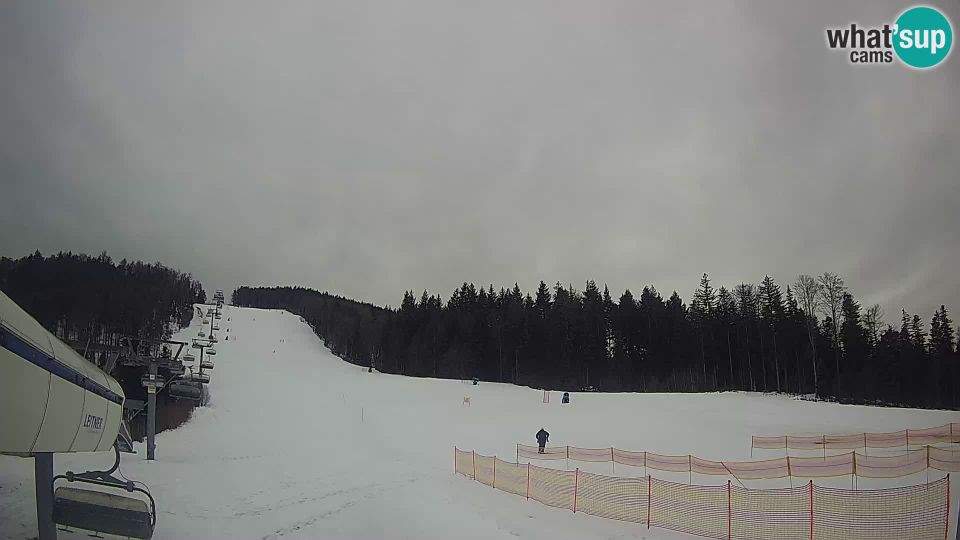 Maribor: Ski resort - Pohorje - Cojzerica