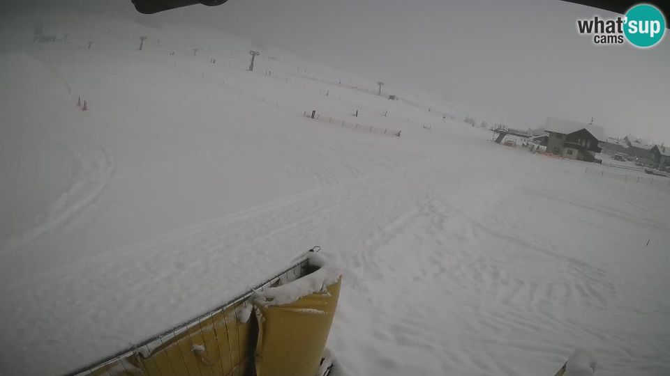 Livigno: webcam - view on - Ski School area - LivignoGO