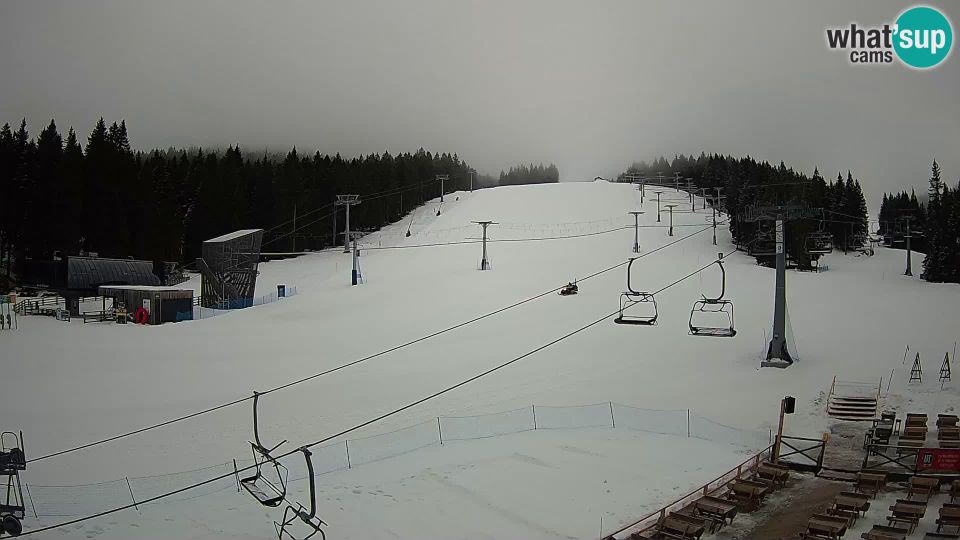 Rogla: ski resort - MšinŽaga - Funpark