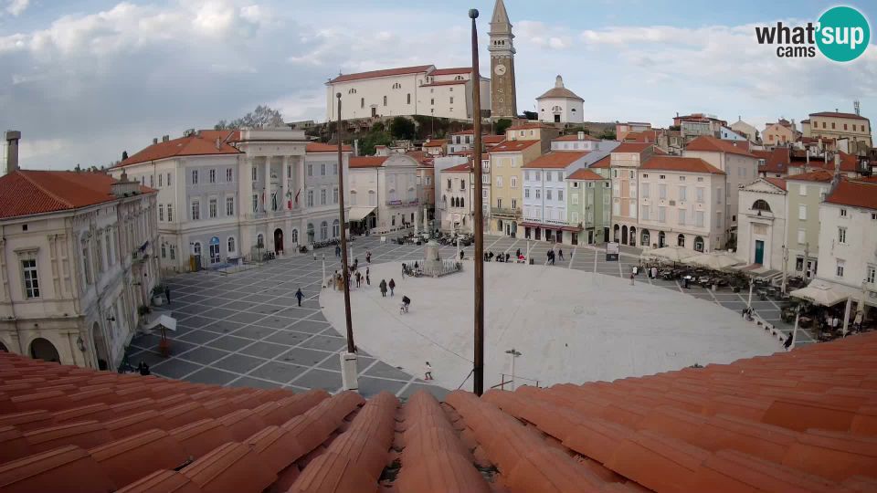 Piran: Webcam - Tartini square