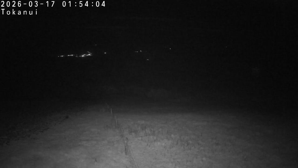 Waihopai Toetoe Community