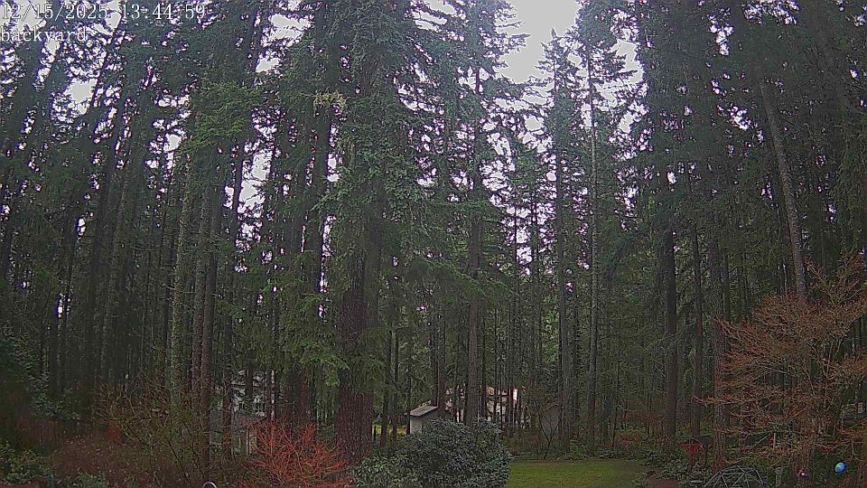 Covington › South-west: Covington Way Southeast