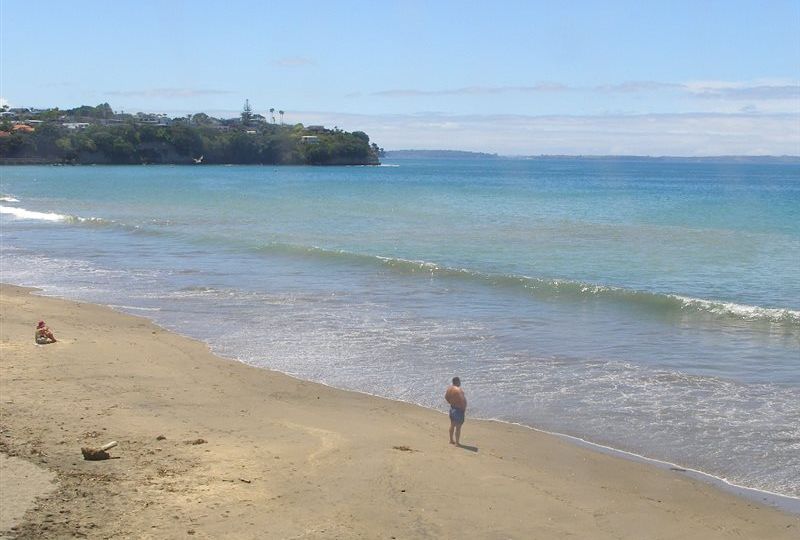 Hibiscus and Bays: Mairangi Bay