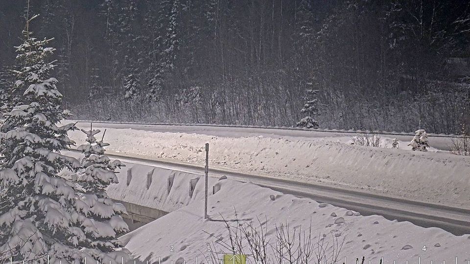 Wortmanns: Seward Highway