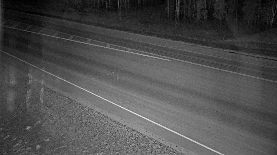 Matanuska: Parks Highway