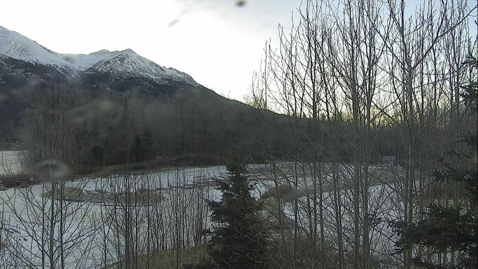 Moose Creek: Sterling Highway