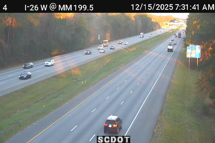 Summer Wood: I-26 W @ MM 199.5