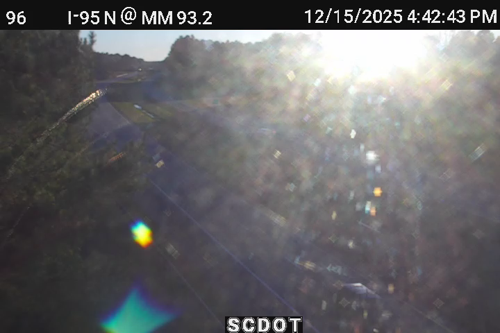 Dantzler: I-95 N @ MM 93.2