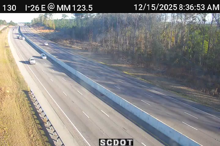 Enos: I-26 E @ MM 123.5