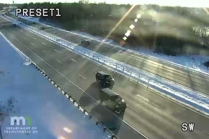 Bald Eagle: I-35E NB N of Co Rd H2