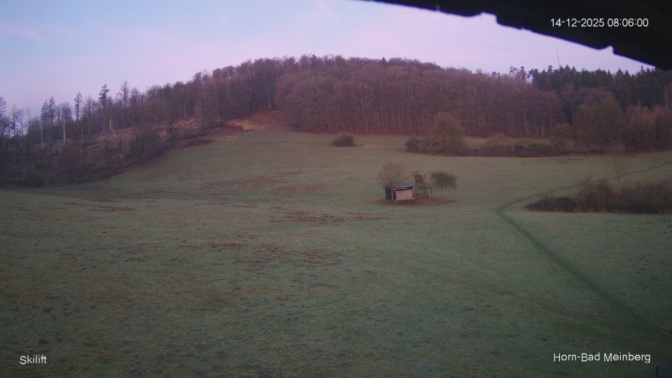 Horn-Bad Meinberg › West