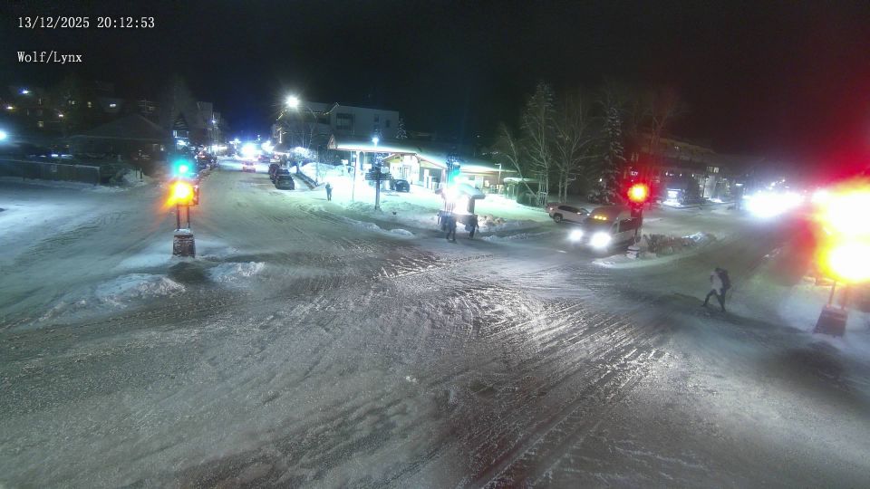 Downtown District: Lynx St and Wolf St