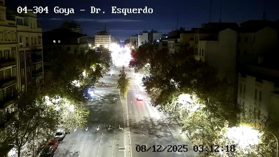 Madrid: Goya: DOCTOR ESQUERDO