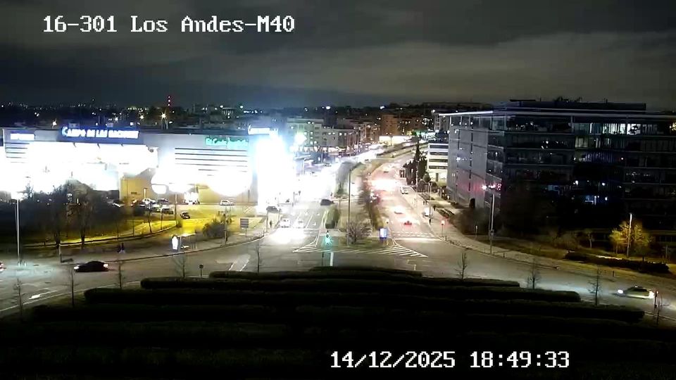 Madrid: Palomas: LOS ANDES - M40