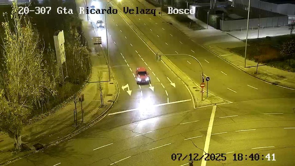 Madrid: Salvador: RICARDO VELAZQUEZ BOSCO