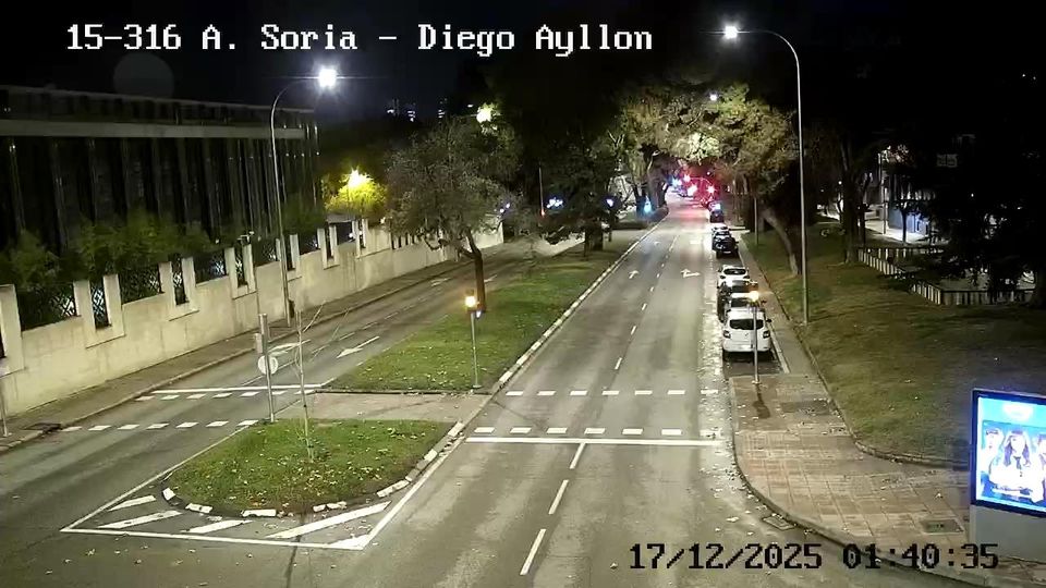 Madrid: San Juan Bautista: ARTURO SORIA - DIEGO AYLLON