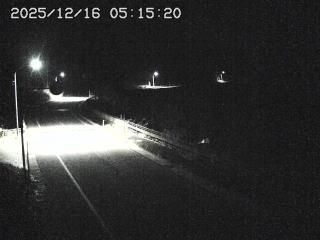 Otari › South-east