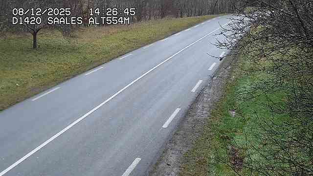 Saales › East: Col de Saales