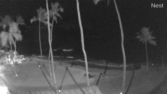 Kaanapali › West: Honokowai