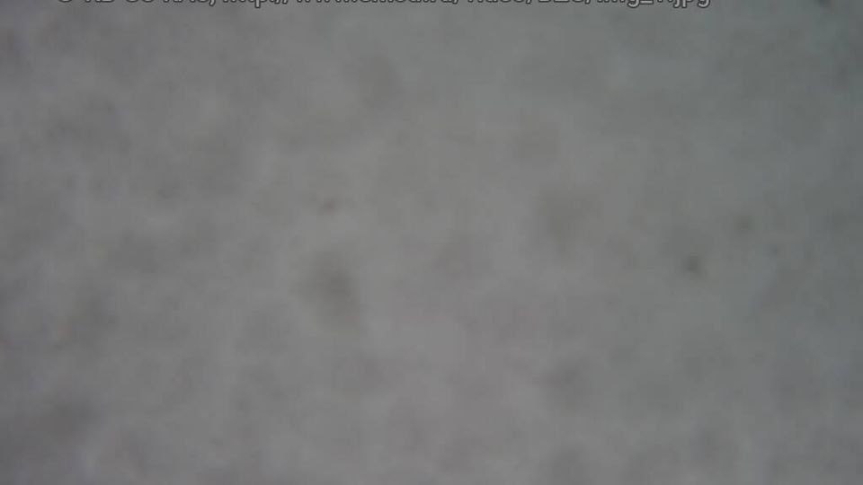 Ust-Kamchatsky District