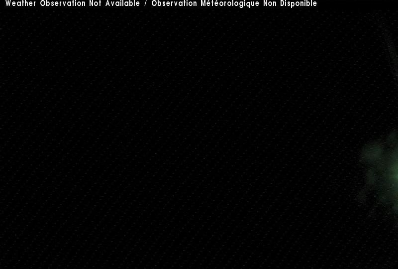 Lewin's Cove › West