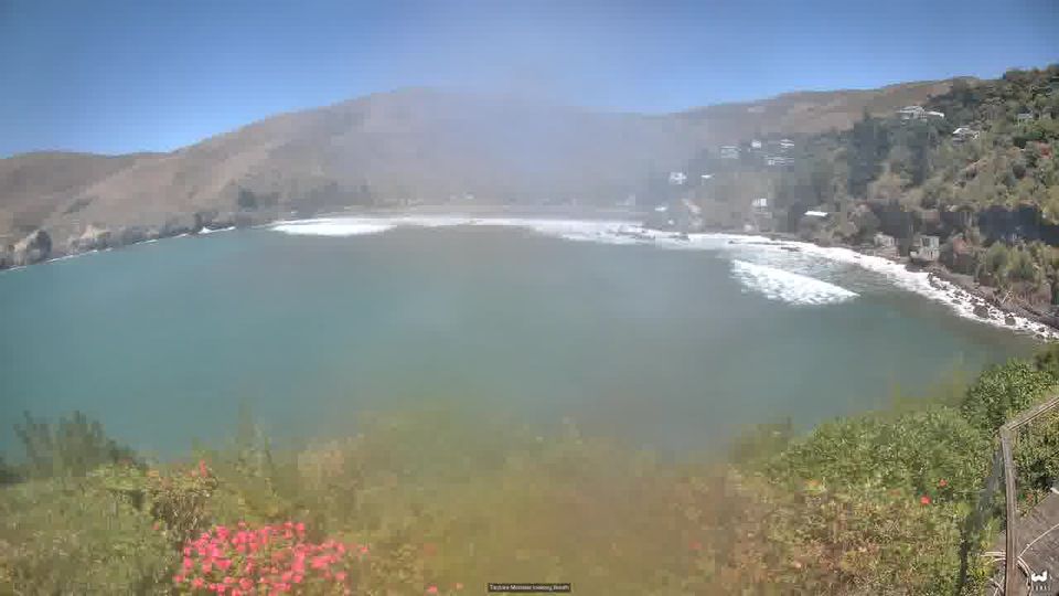 Linwood-Central-Heathcote Community