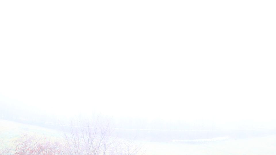 Grabenstatt › South-west: Erlstätt