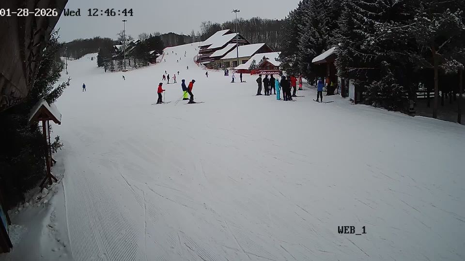 городское поселение Иннополис