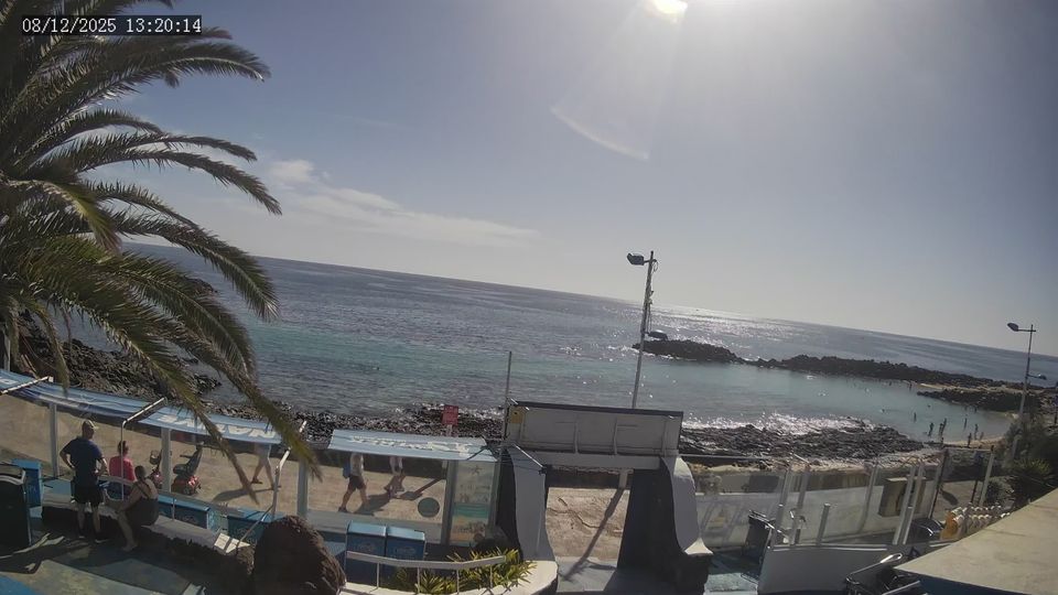 Teguise › South: Native Diving Lanzarote - Jablillo Beach