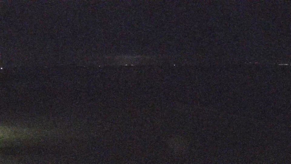 Busumer Deichhausen: Livespotting - Live am Wattenmeer der Nordsee an der Meldorfer Bucht