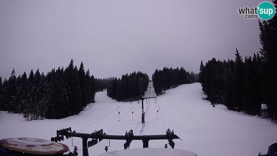 Zgornja Komisija: Webcam Live Rogla ski resort - Ostruščica