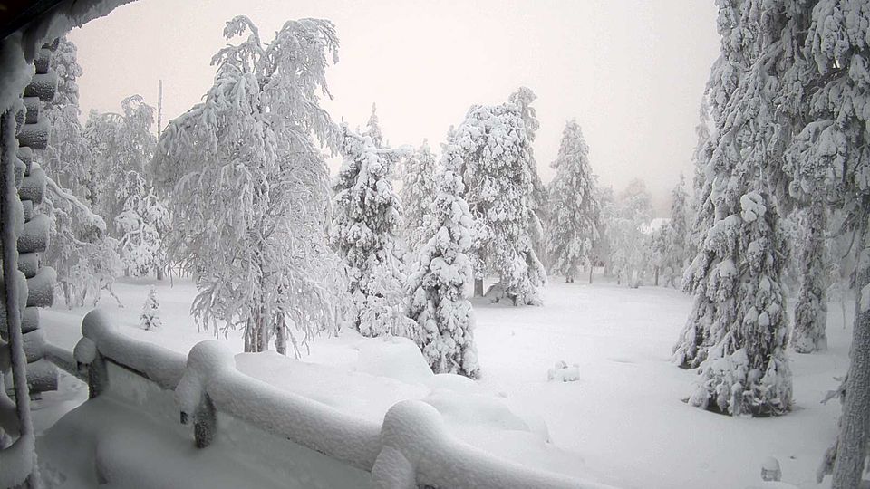 Kuusamo › North-east: Ruka