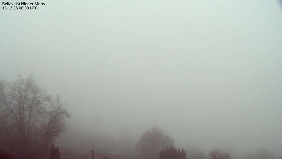 Freiensteinau › South-east: Nieder-Moos