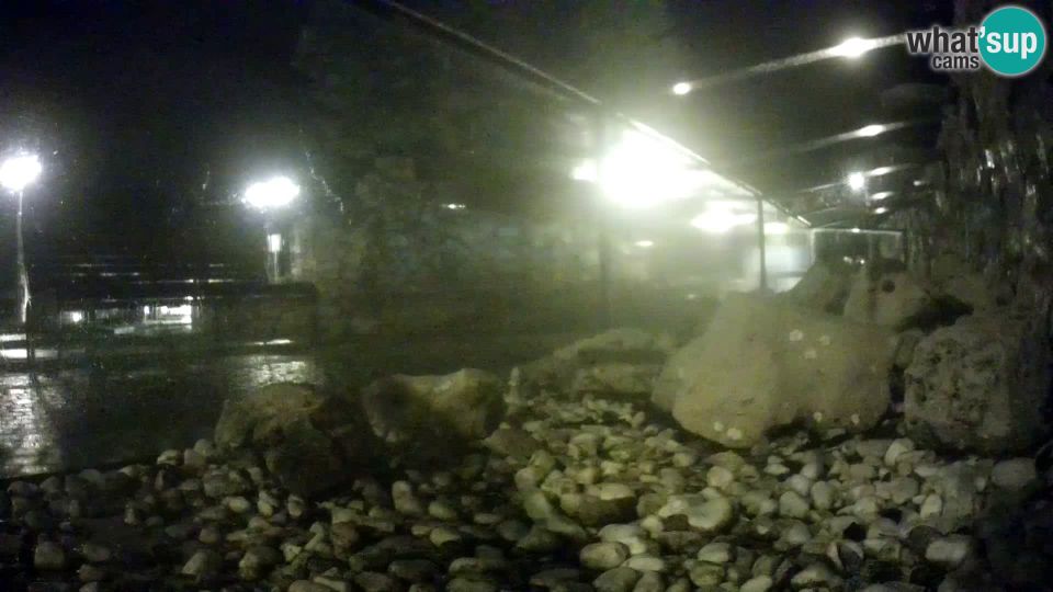 Crljina: Outdoor Marine Aquarium Rogoznica webcam Croatia