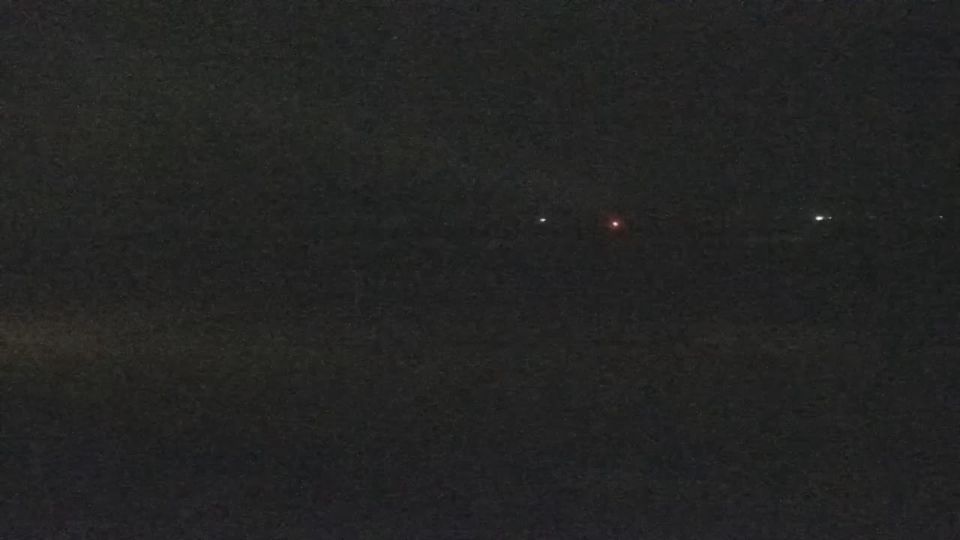 Borkum: Livespotting - Live vom Strand und der Seehundbank von