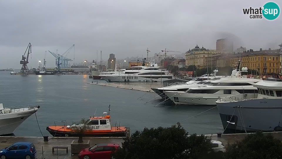 Rijeka: Riva and port