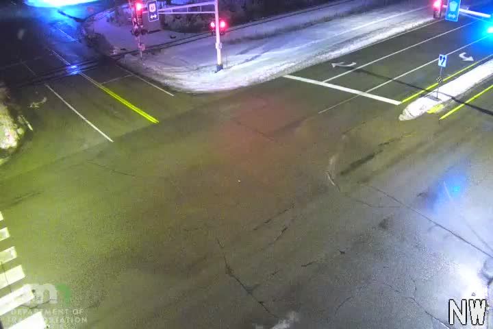 Bald Eagle: T.H.61 NB @ Co Rd J