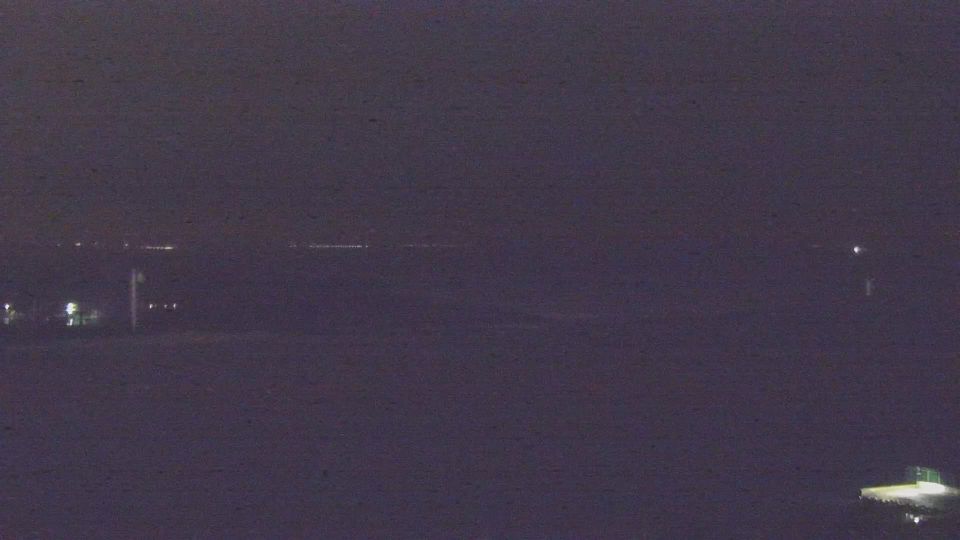 Свиноуйсьце