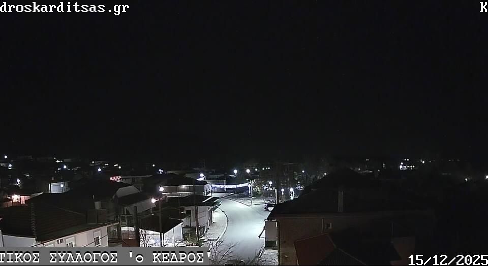 Cedrus › North-east