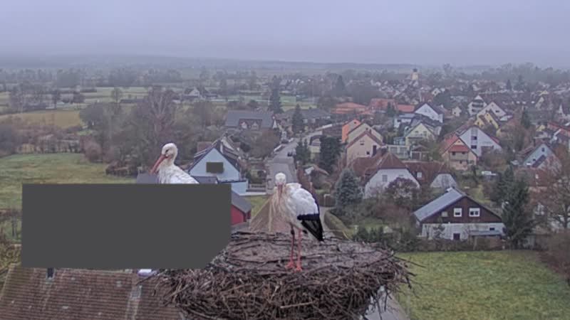 Muhr am See › West