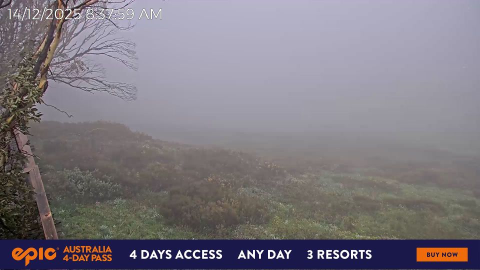 Harrietville › South-east: Mount Hotham