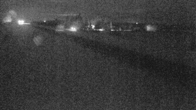 Bellis: Hwy 28 & West of Hwy 36 east of Smoky Lake